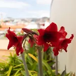 Anadia Penthouse Duplex By Rent-a-key Funchal (Madeira)