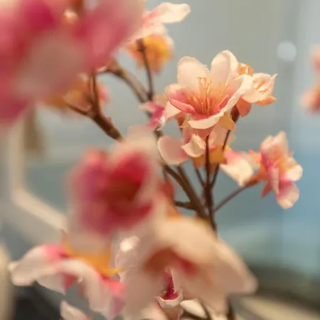 Anadia Penthouse Duplex By Rent-a-key Apartamento *