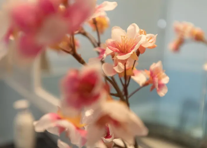 Anadia Penthouse Duplex By Rent-a-key Appartement *